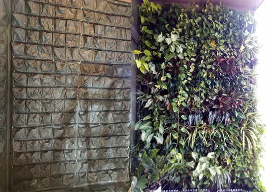 Túi vải trồng cây